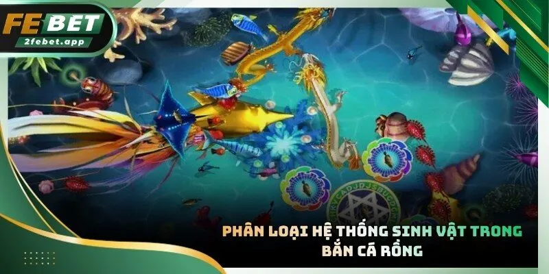Kho sinh vật biển phong phú mang lại nhiều cơ hội nhận thưởng lớn