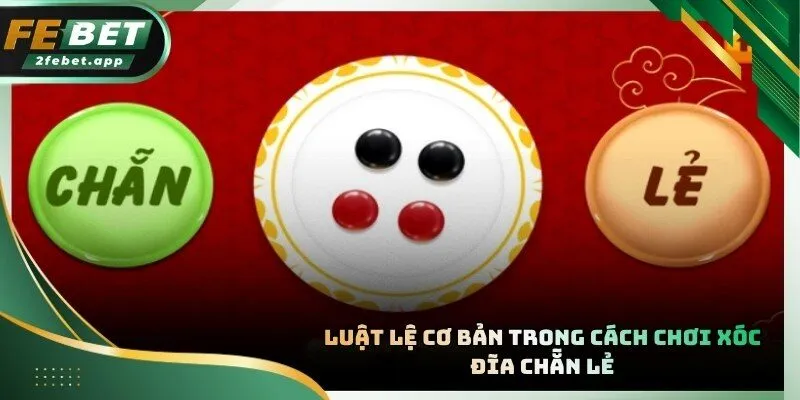 Nắm vững quy tắc đặt cược để tránh những sai lầm đáng tiếc khi chơi