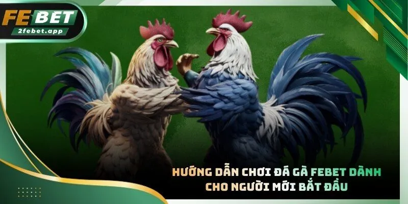 Thành viên cần tạo tài khoản để trải nghiệm các sảnh cược