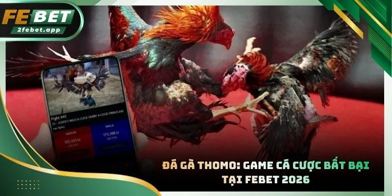 Đá Gà Thomo