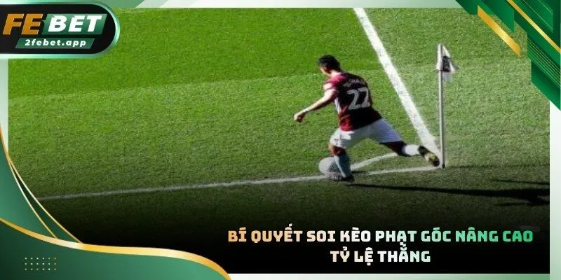 Tổng hợp những công thức và mẹo hay từ các chuyên gia cá cược hàng đầu