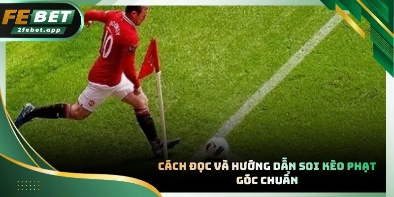 Chi tiết các bước đọc thông số và nhận diện dấu hiệu thắng kèo