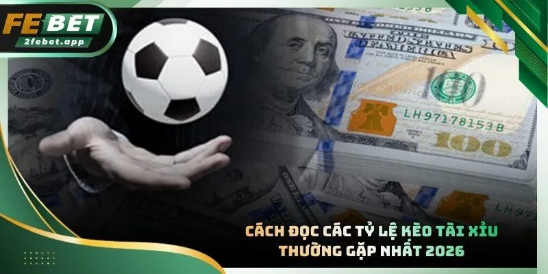 Hướng dẫn chi tiết cách đọc thông số kèo bóng đá cho tân thủ