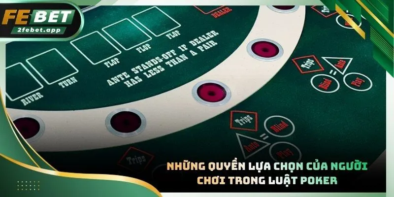 Nắm vững luật Poker về hành động cơ bản để thực hiện cược thông minh nhất