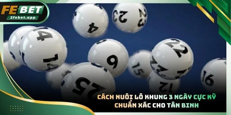 Tổng hợp các kỹ thuật soi cầu lô kép phổ biến mang lại hiệu quả cao nhất