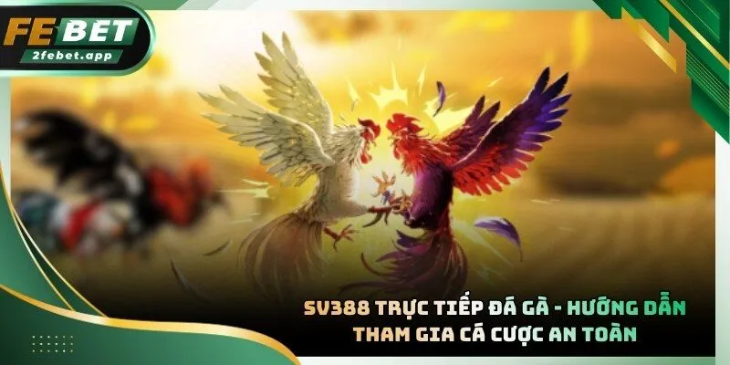 SV388 Trực Tiếp Đá Gà
