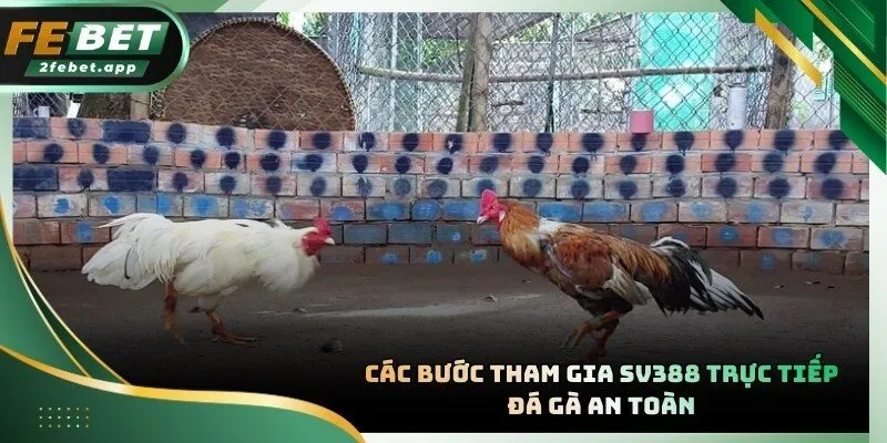 Thành viên cần tìm kiếm đại lý uy tín trước khi đăng ký tham gia chọi kê